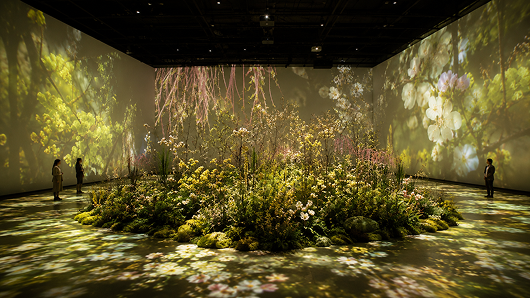Immersive exhibition view with yellow flowers and projections.